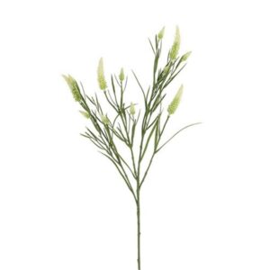 Countryfield Bloem Veronica – Wit