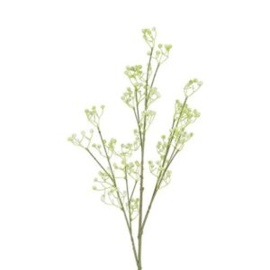 Countryfield Bloem Gipskruid big