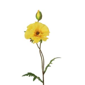Countryfield Papaver Vere Geel