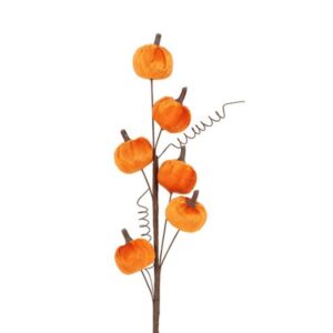 Countryfield Decotak met 5 mini pumpkin