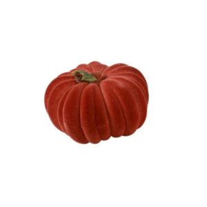Countryfield Pumpin ornament L in Oranje